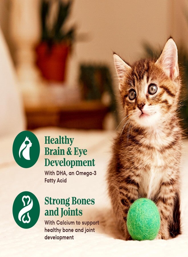 نوترو طعام القطط الرطب Nutro Perfect Portions Kitten بنكهة الدجاج وسمك السلمون الأبيض، عبوة مزدوجة 2.6 أونصة، 12 قطعة، 24 حصة (عبوة واحدة) - Image 4